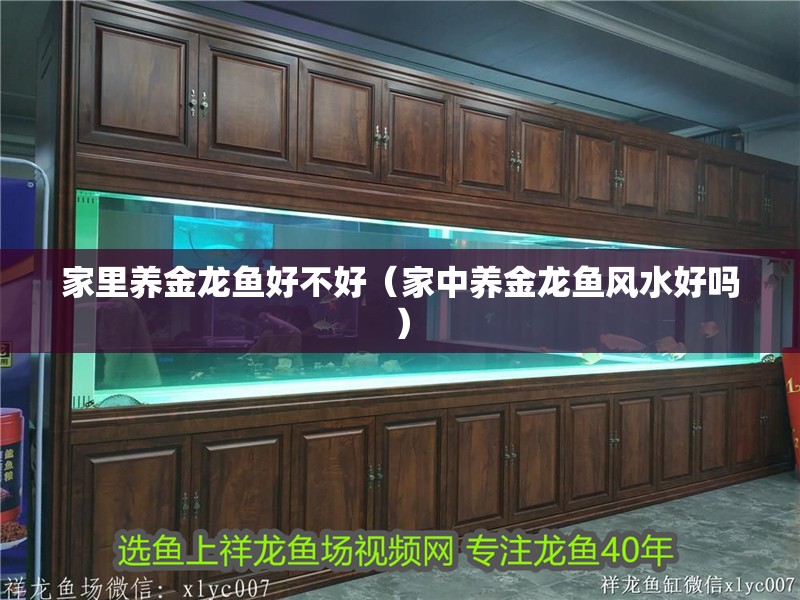 魚缸用增氧泵價格是多少:魚缸增氧機(jī)-xtrac增氧機(jī)-xtrac增氧機(jī) 家里養(yǎng)金龍魚好不好(家中養(yǎng)金龍魚風(fēng)水好嗎) 龍魚百科 家里養(yǎng)金龍魚好不好(家中養(yǎng)金龍魚風(fēng)水好嗎) 家里養(yǎng)金龍魚好不好(家中養(yǎng)金龍魚風(fēng)水好嗎) 龍魚百科