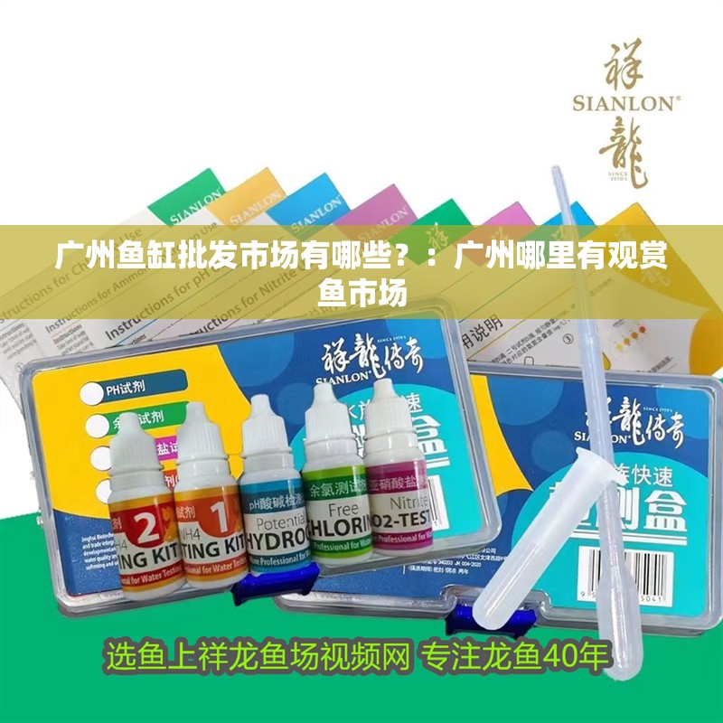 廣州魚缸批發(fā)市場有哪些？：廣州哪里有觀賞魚市場 廣州魚缸批發(fā)市場有哪些？：廣州哪里有觀賞魚市場 魚缸百科