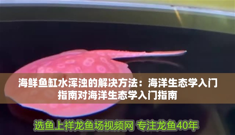 海鮮魚缸水渾濁的解決方法：海洋生態學入門指南對海洋生態學入門指南