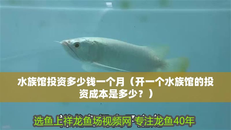 水族館投資多少錢一個月（開一個水族館的投資成本是多少？）