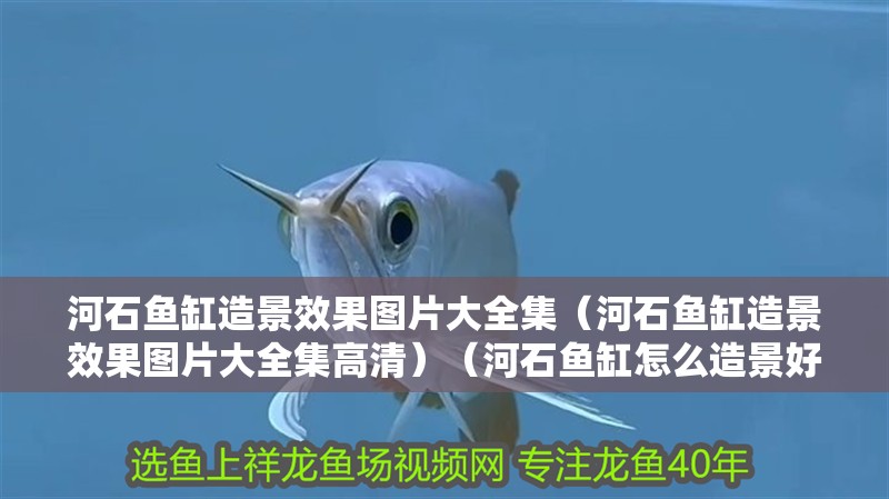 河石魚缸造景效果圖片大全集（河石魚缸造景效果圖片大全集高清）（河石魚缸怎么造景好看） 河石魚缸造景效果圖片大全集（河石魚缸造景效果圖片大全集高清）（河石魚缸怎么造景好看） 魚缸百科