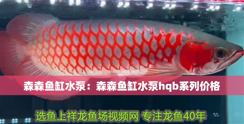 森森魚缸水泵：森森魚缸水泵hqb系列價格
