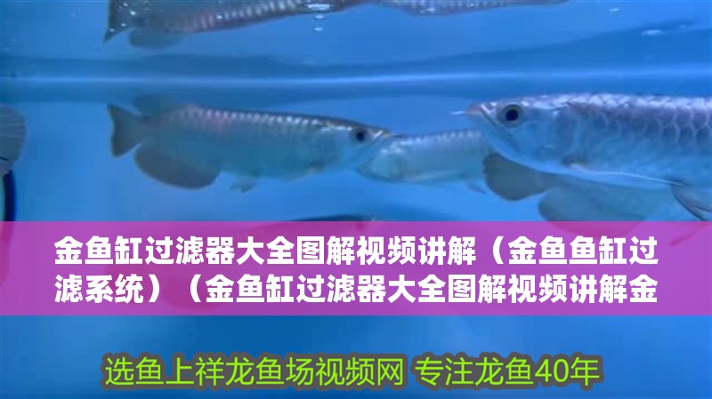 金魚缸過濾器大全圖解視頻講解（金魚魚缸過濾系統）（金魚缸過濾器大全圖解視頻講解金魚缸過濾器大全圖解視頻講解）