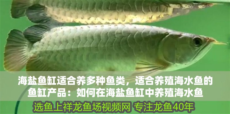 海鹽魚缸適合養多種魚類，適合養殖海水魚的魚缸產品：如何在海鹽魚缸中養殖海水魚