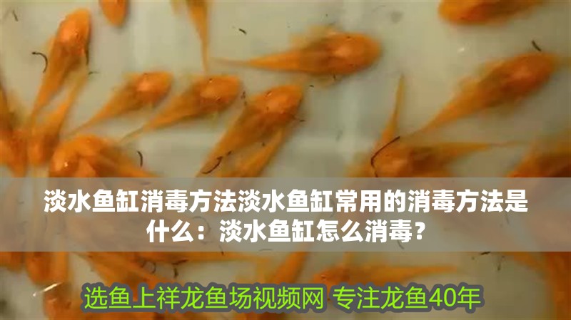 淡水魚缸消毒方法淡水魚缸常用的消毒方法是什么：淡水魚缸怎么消毒？ 淡水魚缸消毒方法淡水魚缸常用的消毒方法是什么：淡水魚缸怎么消毒？ 魚缸百科
