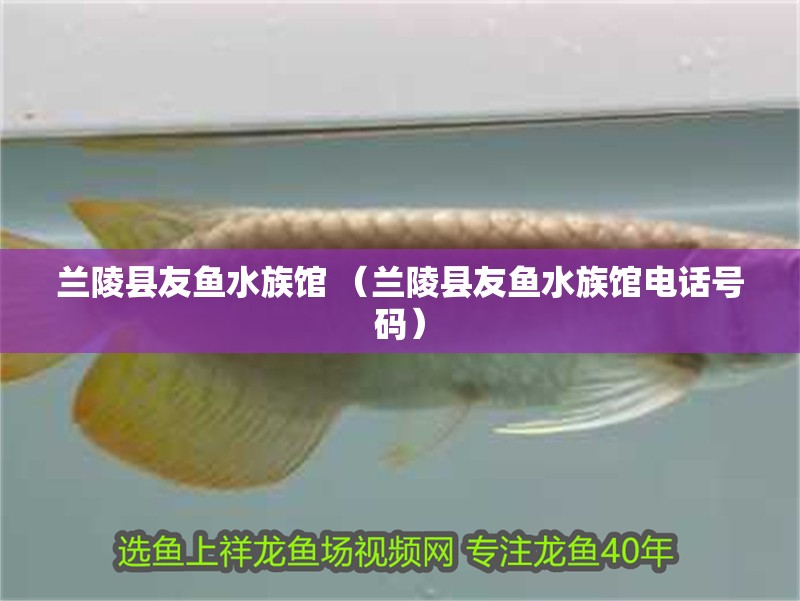 新到家的小虎魚 蘭陵縣友魚水族館 (蘭陵縣友魚水族館電話號碼) 全國水族館企業名錄 蘭陵縣友魚水族館 (蘭陵縣友魚水族館電話號碼) 蘭陵縣友魚水族館 (蘭陵縣友魚水族館電話號碼) 全國水族館企業名錄