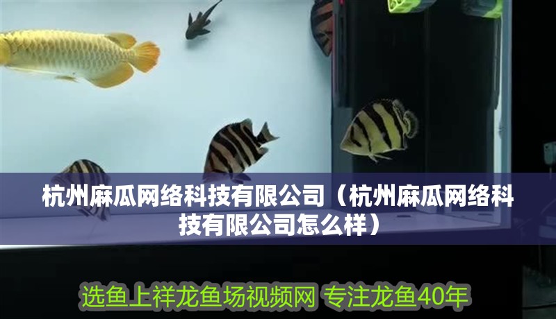 <strong><mark>杭州</mark></strong>麻瓜網絡科技有限公司（<strong><mark>杭州</mark></strong>麻瓜網絡科技有限公司怎么樣）