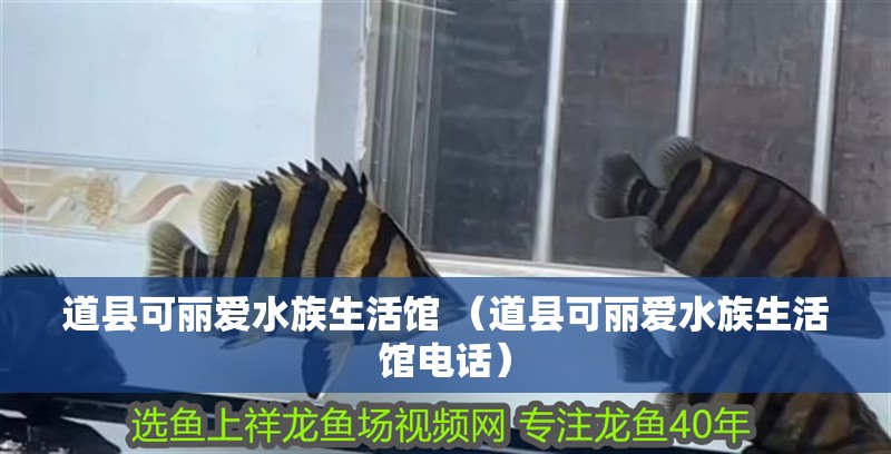 道縣可麗愛水族生活館 （道縣可麗愛水族生活館電話）