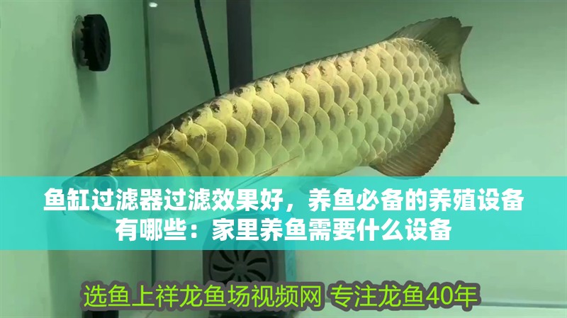 魚缸過濾器過濾效果好，養魚必備的養殖設備有哪些：家里養魚需要什么設備 魚缸過濾器過濾效果好，養魚必備的養殖設備有哪些：家里養魚需要什么設備 魚缸百科