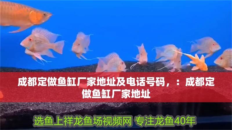 成都定做魚缸廠家地址及電話號碼，：成都定做魚缸廠家地址