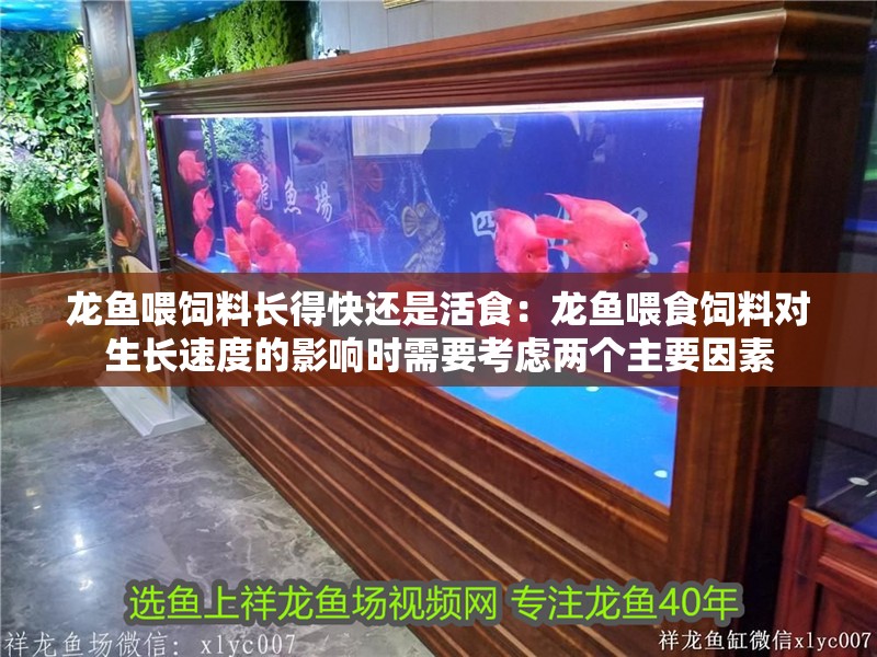 龍魚喂飼料長得快還是活食：龍魚喂食飼料對生長速度的影響時需要考慮兩個主要因素
