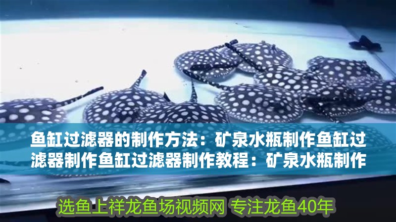 魚缸過濾器的制作方法：礦泉水瓶制作魚缸過濾器制作魚缸過濾器制作教程：礦泉水瓶制作 魚缸過濾器的制作方法：礦泉水瓶制作魚缸過濾器制作魚缸過濾器制作教程：礦泉水瓶制作 魚缸百科