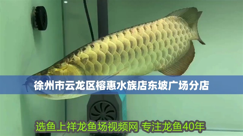 徐州市云龍區榕惠水族店東坡廣場分店