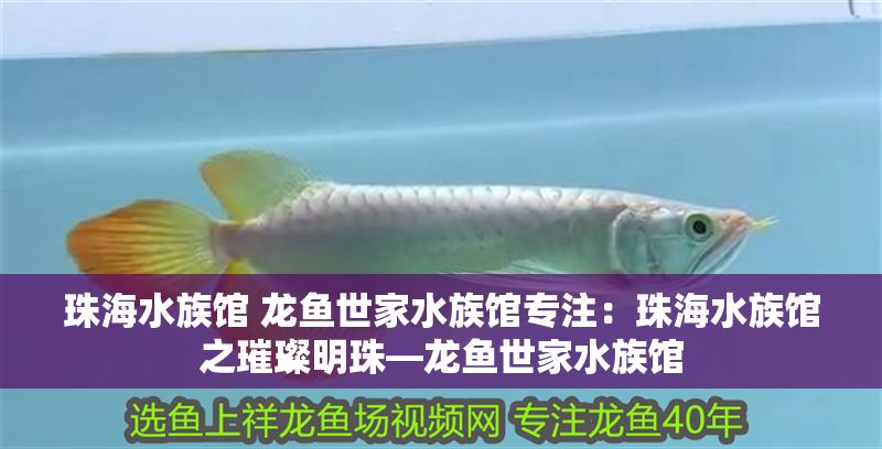 珠海水族館 龍魚世家水族館專注：珠海水族館之璀璨明珠—龍魚世家水族館