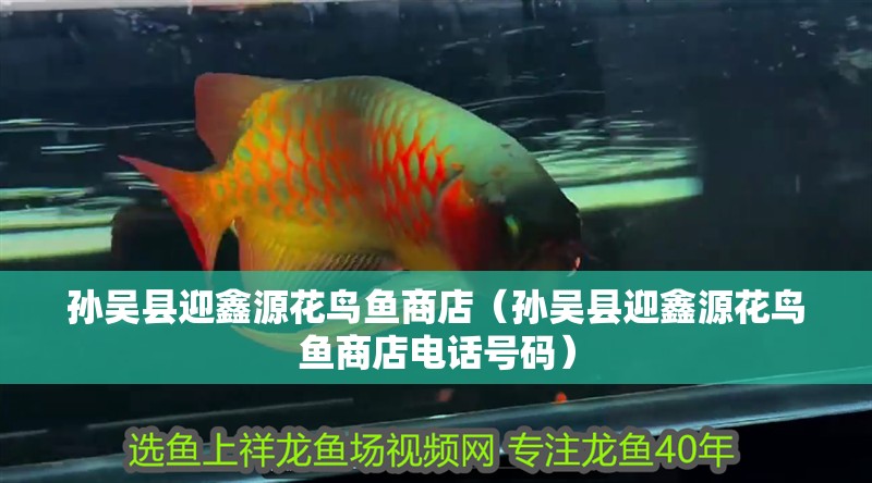 孫吳縣迎鑫源花鳥魚商店（孫吳縣迎鑫源花鳥魚商店電話號碼）