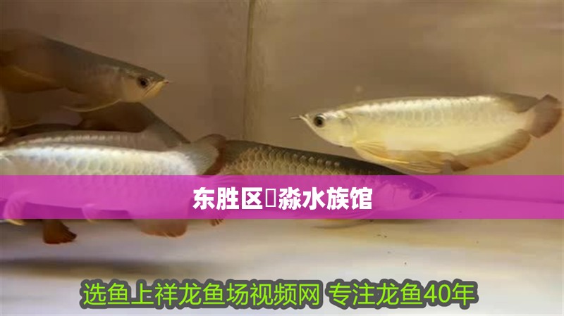 東勝區(qū)鱻淼水族館