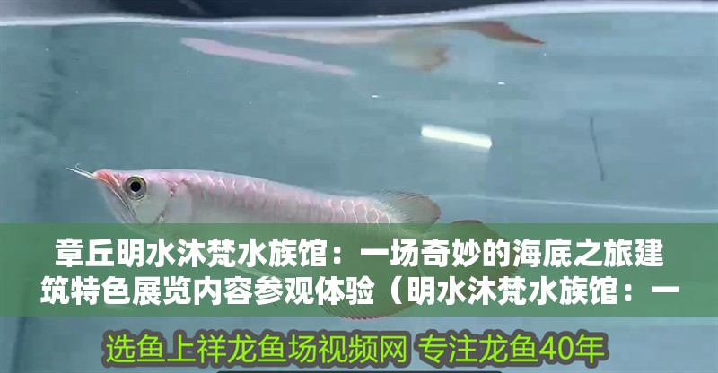 章丘明水沐梵水族館：一場奇妙的海底之旅建筑特色展覽內容參觀體驗（明水沐梵水族館：一場奇妙的海底之旅）