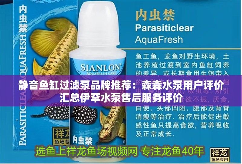 靜音魚缸過濾泵品牌推薦：森森水泵用戶評價匯總伊罕水泵售后服務評價 靜音魚缸過濾泵品牌推薦：森森水泵用戶評價匯總伊罕水泵售后服務評價 魚缸百科