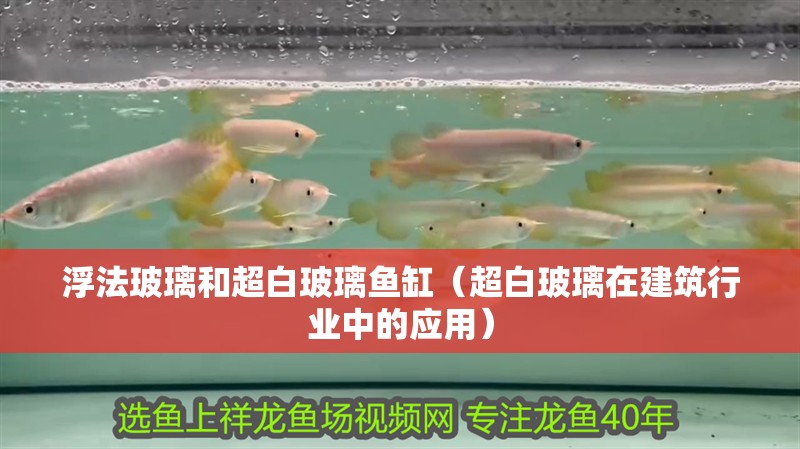 浮法玻璃和超白玻璃魚缸（超白玻璃在建筑行業中的應用） 浮法玻璃和超白玻璃魚缸（超白玻璃在建筑行業中的應用） 魚缸百科