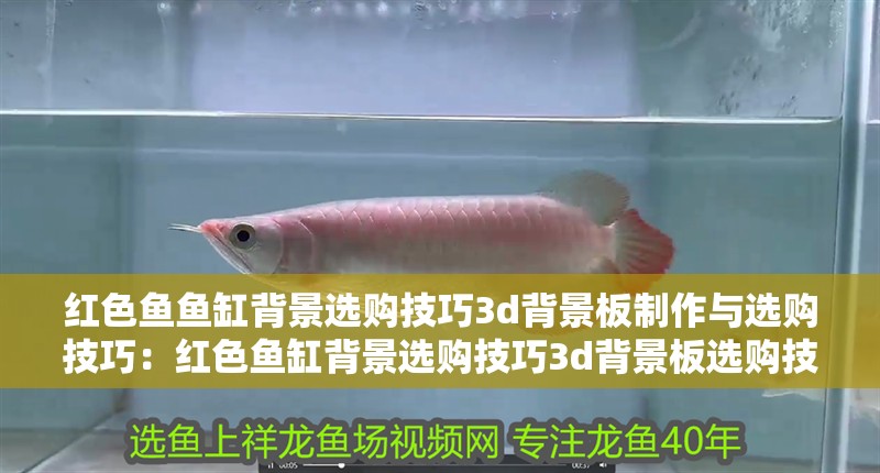 紅色魚魚缸背景選購技巧3d背景板制作與選購技巧：紅色魚缸背景選購技巧3d背景板選購技巧 紅色魚魚缸背景選購技巧3d背景板制作與選購技巧：紅色魚缸背景選購技巧3d背景板選購技巧 魚缸百科