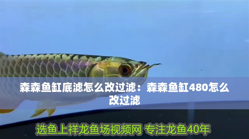 森森魚缸底濾怎么改過濾：森森魚缸480怎么改過濾