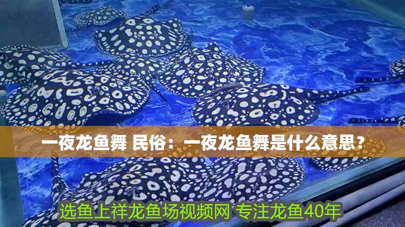 一夜龍魚舞 民俗：一夜龍魚舞是什么意思？
