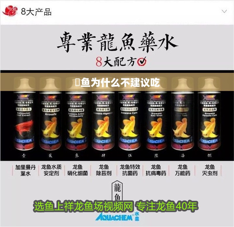 鳡魚(yú)為什么不建議吃