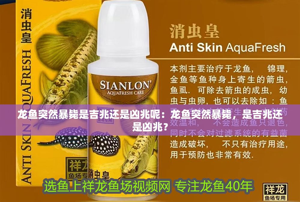 龍魚突然暴斃是吉兆還是兇兆呢：龍魚突然暴斃，是吉兆還是兇兆？