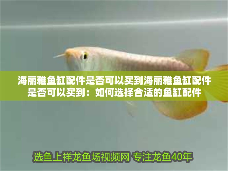 海麗雅魚缸配件是否可以買到海麗雅魚缸配件是否可以買到：如何選擇合適的魚缸配件