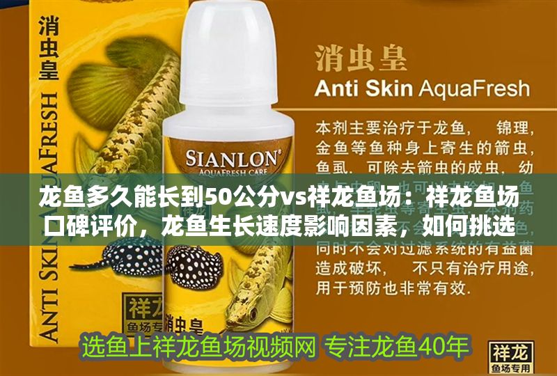 龍魚多久能長到50公分vs祥龍魚場：祥龍魚場口碑評價，龍魚生長速度影響因素，如何挑選優質龍魚 龍魚多久能長到50公分vs祥龍魚場：祥龍魚場口碑評價，龍魚生長速度影響因素，如何挑選優質龍魚 vs祥龍魚場 第1張