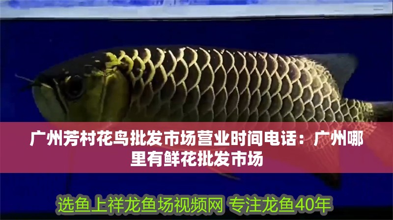 廣州芳村花鳥批發(fā)市場營業(yè)時間電話：廣州哪里有鮮花批發(fā)市場