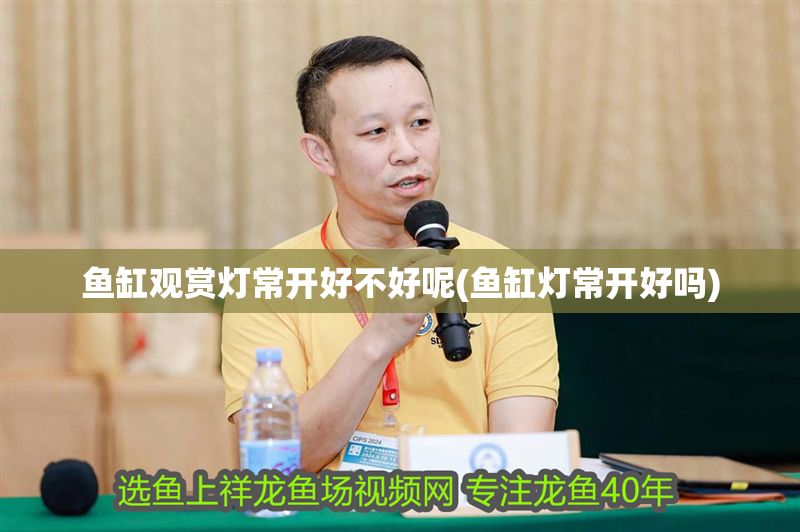 魚缸觀賞燈常開好不好呢(魚缸燈常開好嗎) 魚缸觀賞燈常開好不好呢(魚缸燈常開好嗎) 錦鯉魚百科 第1張