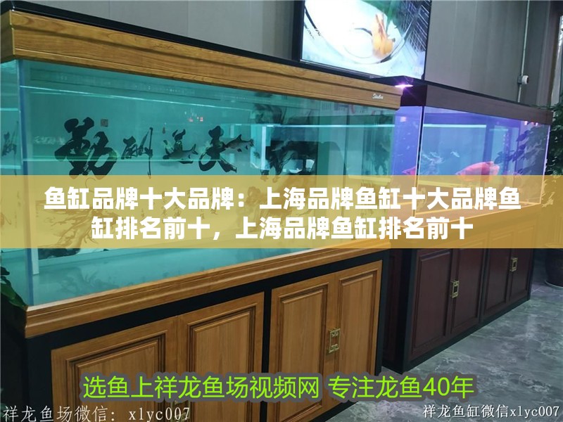 魚缸品牌十大品牌：上海品牌魚缸十大品牌魚缸排名前十，上海品牌魚缸排名前十