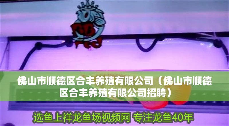 佛山市順德區(qū)合豐養(yǎng)殖有限公司（佛山市順德區(qū)合豐養(yǎng)殖有限公司招聘）