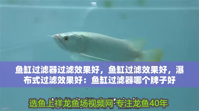 魚缸過濾器過濾效果好，魚缸過濾效果好，瀑布式過濾效果好：魚缸過濾器哪個牌子好