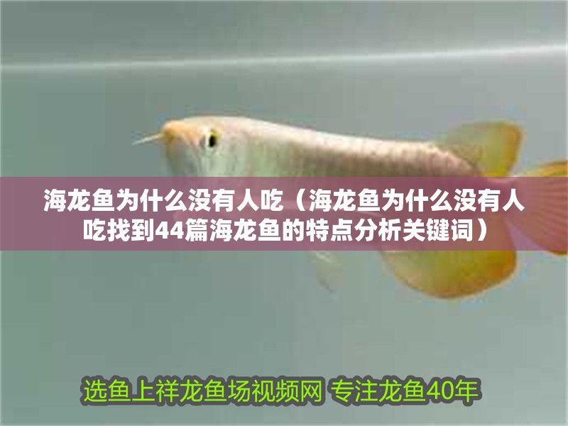 海龍魚為什么沒(méi)有人吃（海龍魚為什么沒(méi)有人吃找到44篇海龍魚的特點(diǎn)分析關(guān)鍵詞）