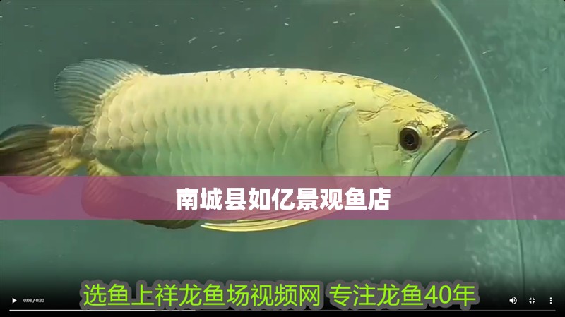 南城縣如億景觀魚店