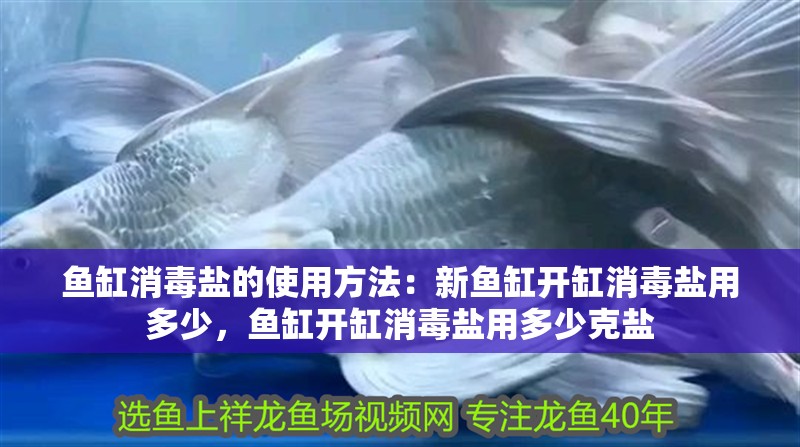 魚缸消毒鹽的使用方法：新魚缸開(kāi)缸消毒鹽用多少，魚缸開(kāi)缸消毒鹽用多少克鹽