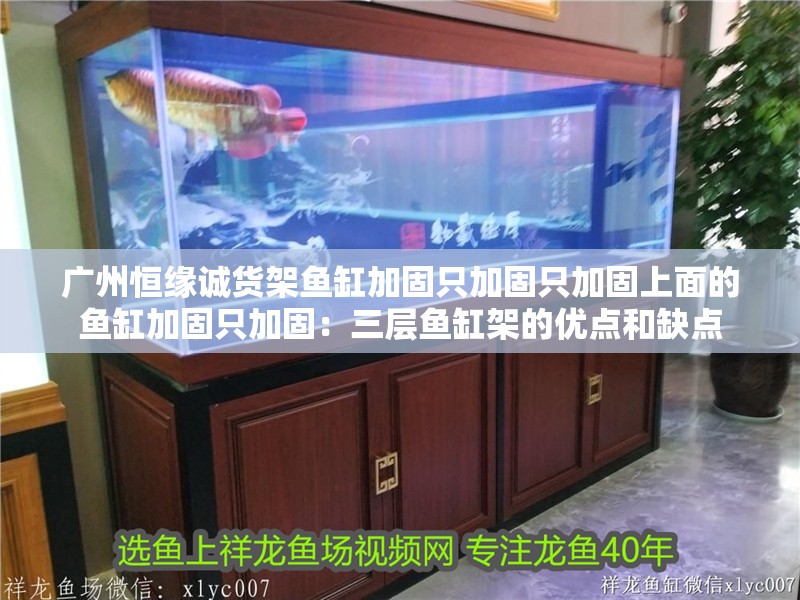 廣州恒緣誠貨架魚缸加固只加固只加固上面的魚缸加固只加固：三層魚缸架的優點和缺點