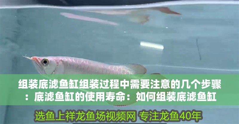 組裝底濾魚缸組裝過程中需要注意的幾個步驟：底濾魚缸的使用壽命：如何組裝底濾魚缸