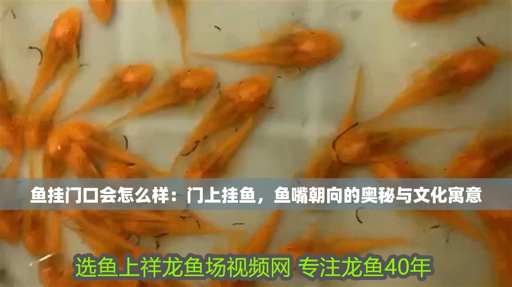魚掛門口會怎么樣：門上掛魚，魚嘴朝向的奧秘與文化寓意