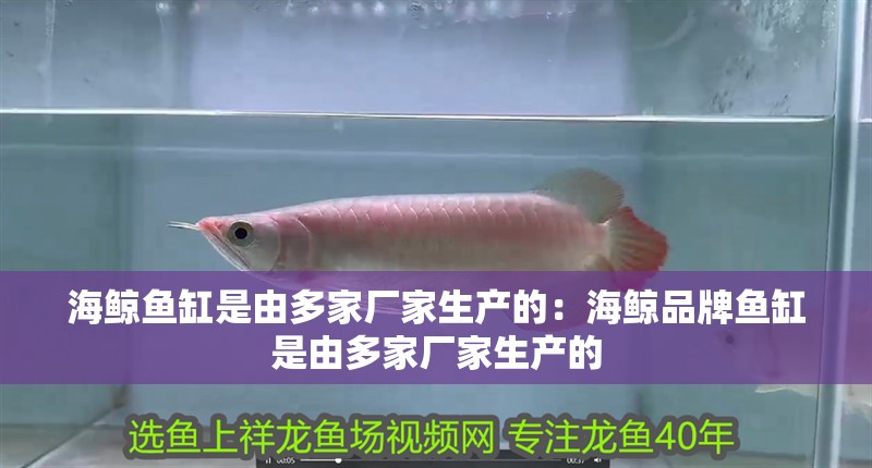 海鯨魚缸是由多家廠家生產的：海鯨品牌魚缸是由多家廠家生產的