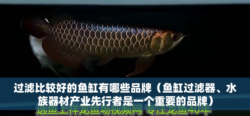 過濾比較好的魚缸有哪些品牌（魚缸過濾器、水族器材產(chǎn)業(yè)先行者是一個(gè)重要的品牌）
