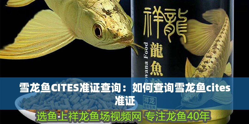 雪龍魚CITES準證查詢：如何查詢雪龍魚cites準證
