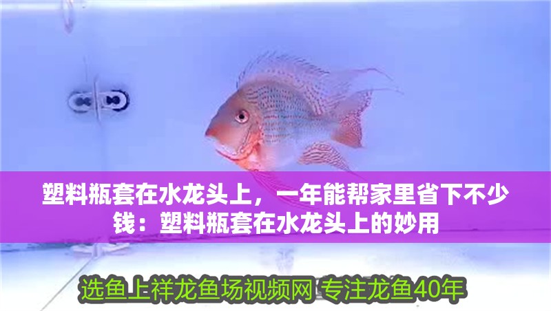 塑料瓶套在水龍頭上，一年能幫家里省下不少錢：塑料瓶套在水龍頭上的妙用 塑料瓶套在水龍頭上，一年能幫家里省下不少錢：塑料瓶套在水龍頭上的妙用 魚缸百科