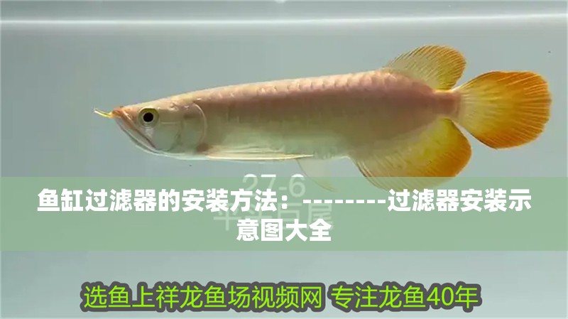 魚缸過濾器的安裝方法：--------過濾器安裝示意圖大全
