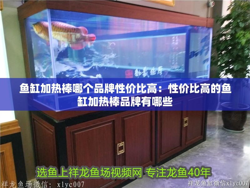 魚缸加熱棒哪個品牌性價比高：性價比高的魚缸加熱棒品牌有哪些 魚缸加熱棒哪個品牌性價比高：性價比高的魚缸加熱棒品牌有哪些 魚缸百科