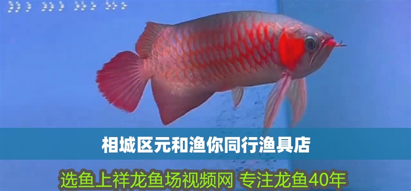相城區(qū)元和漁你同行漁具店