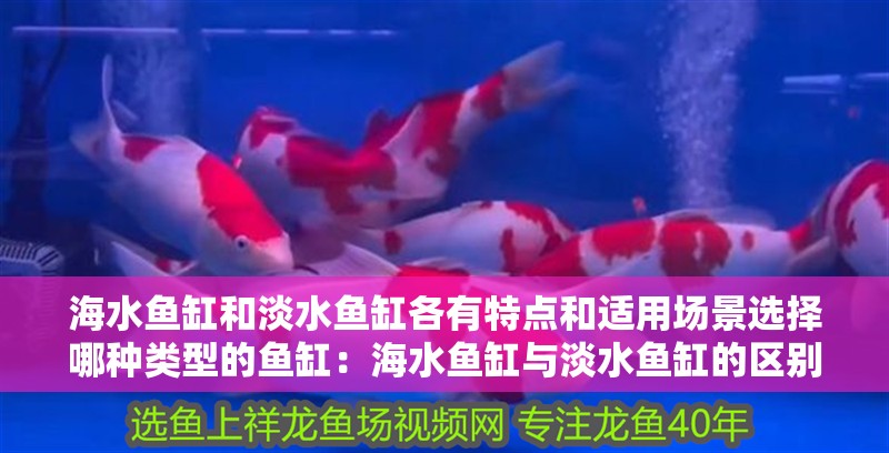 海水魚缸和淡水魚缸各有特點和適用場景選擇哪種類型的魚缸：海水魚缸與淡水魚缸的區(qū)別