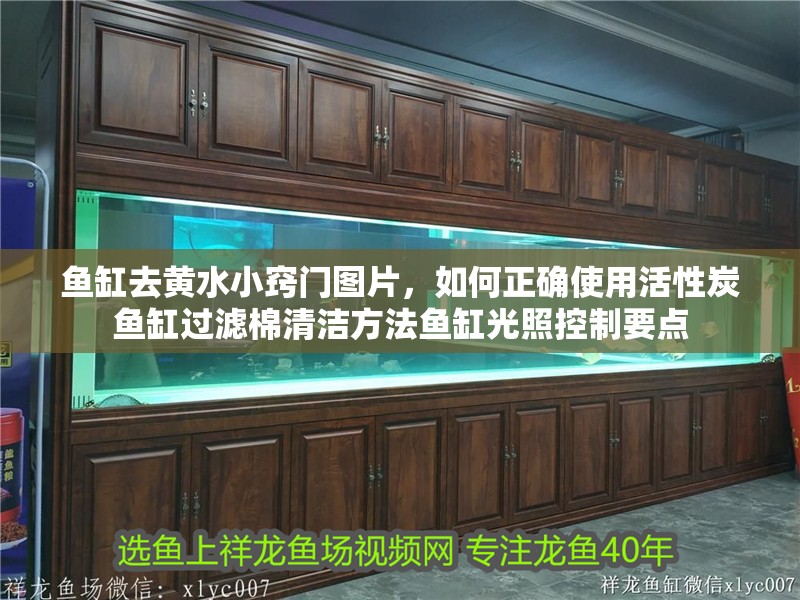 魚缸去黃水小竅門圖片，如何正確使用活性炭魚缸過濾棉清潔方法魚缸光照控制要點